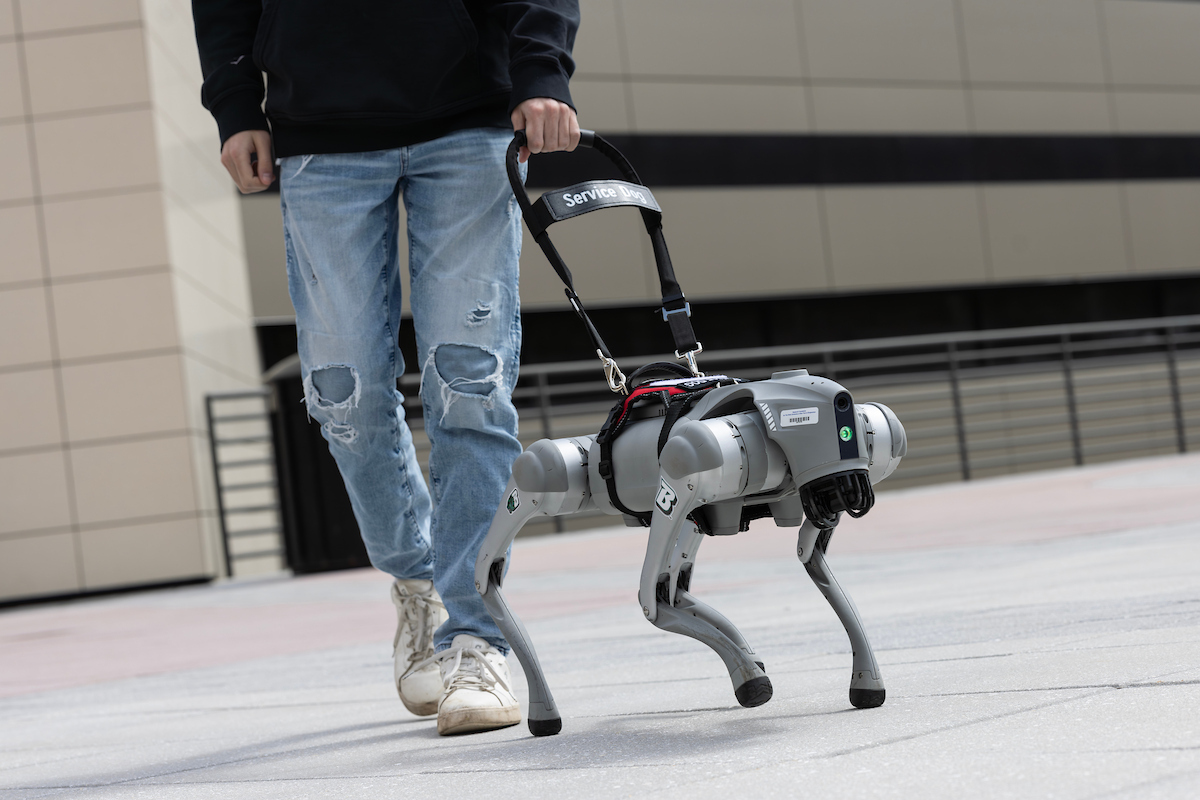 Perro robot guía acompañando a una persona ciega por la calle